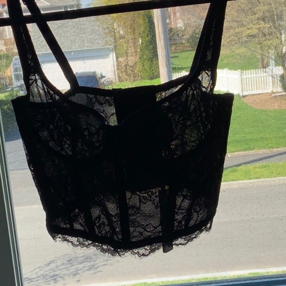 NWT Skims Lace Bustier